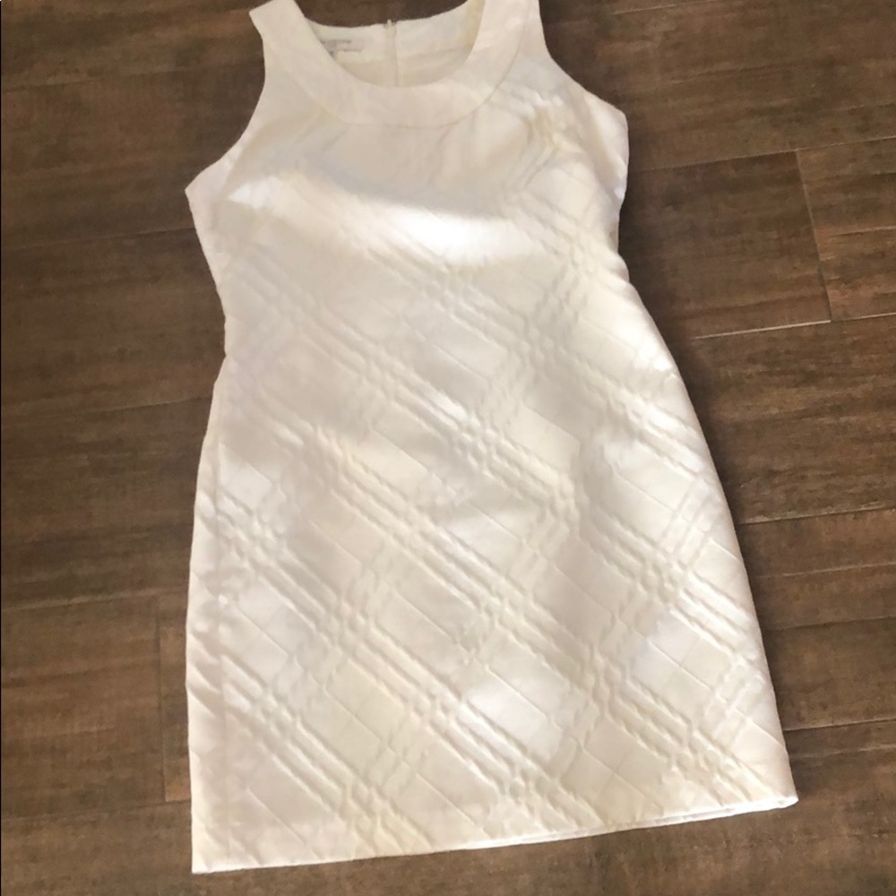 Sheath Dress by Evan-Picone, Size 12P